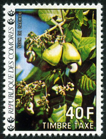 Stamp